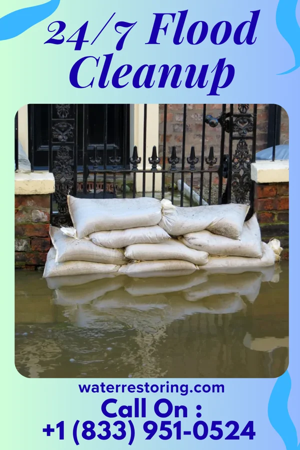 24/7 Flood Cleanup in Deer Park, IL