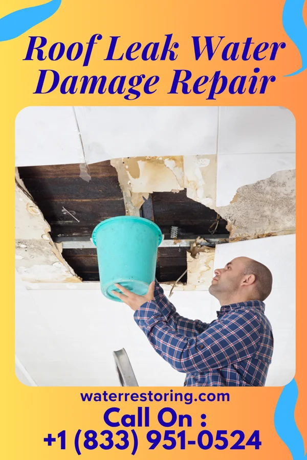 Roof Leak Water Damage Repair in Deer Park, IL