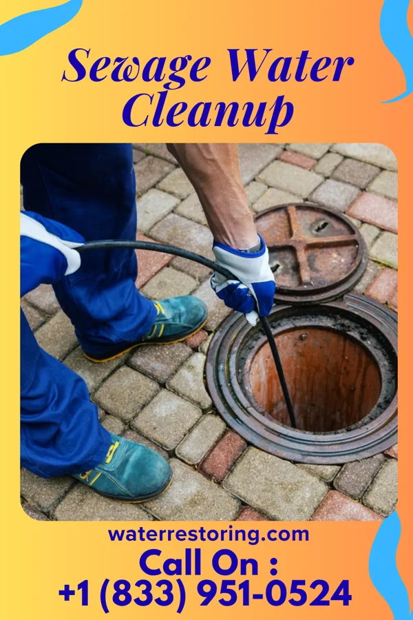 Sewage Water Cleanup in Deer Park, IL